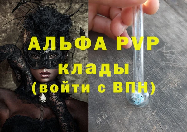 индика Балахна